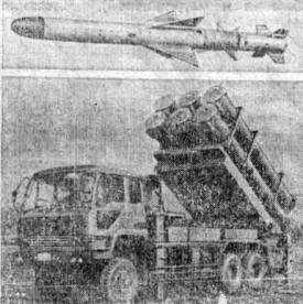 Пусковая установка и крылатая ракета японской разработки класса <берегкорабль>